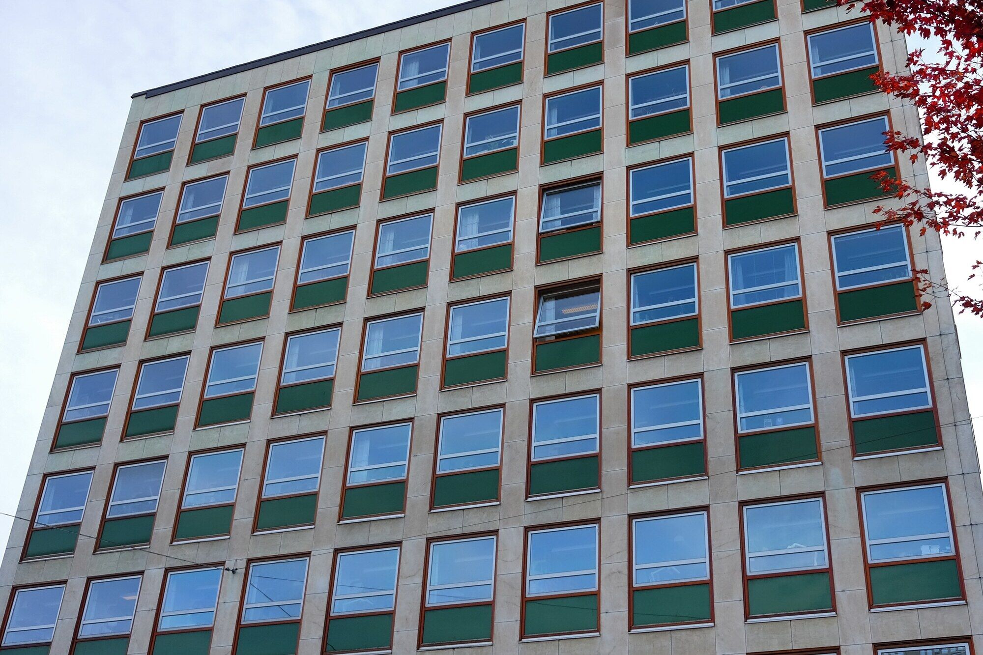 Höstträd längs Vasagatan i centrala Göteborg